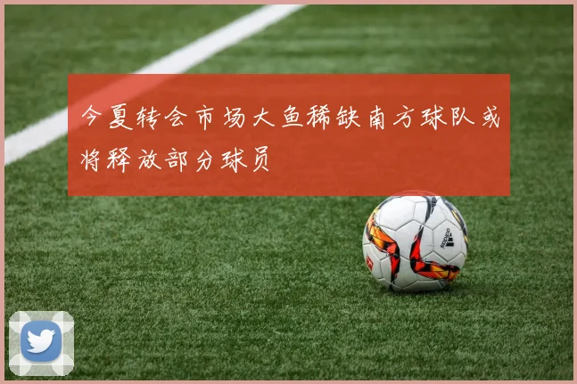 今夏转会市场大鱼稀缺南方球队或将释放部分球员